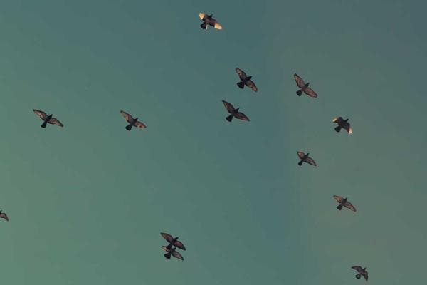 An agent using a CRM to manage customer interactions.