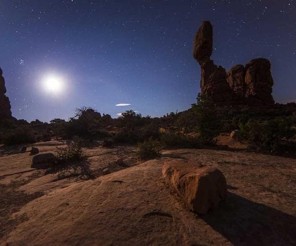 An expert trainer collaborating with a team in an office setting